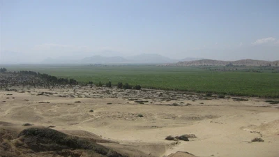 Chicama Environmental Archaeology Project (CHEAP) featured image