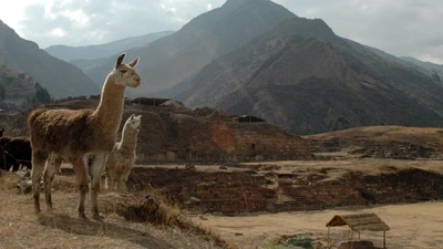 Programa de Investigación Arqueológica y Conservación Chavín de Huántar (PRIACCH) featured image