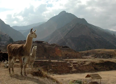 Programa de Investigación Arqueológica y Conservación Chavín de Huántar (PRIACCH) featured image
