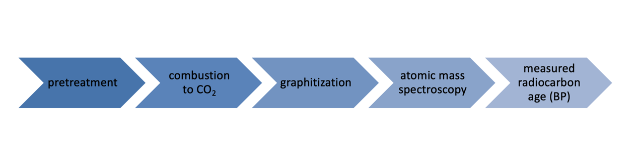 Sample processing in AMS radiocarbon analysis.