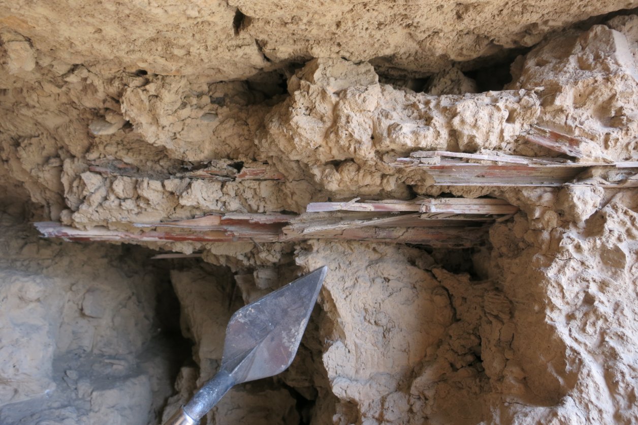 Sample identification and recovery.